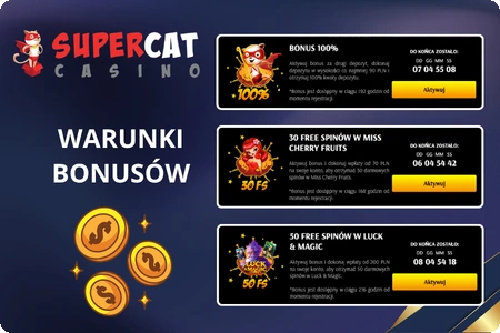 Warunki bonusów Casino Cat – bonus 100% i darmowe spiny